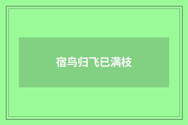 宿鸟归飞已满枝