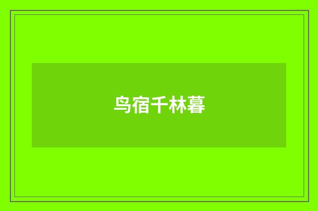 鸟宿千林暮