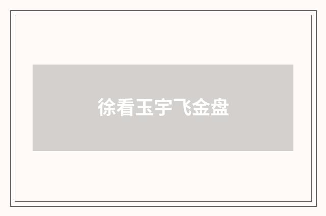 徐看玉宇飞金盘