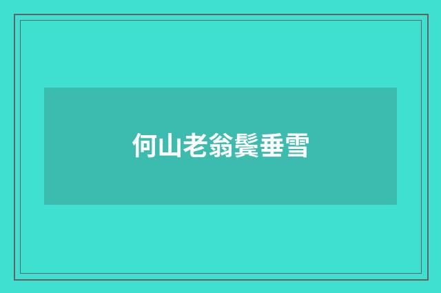 何山老翁鬓垂雪
