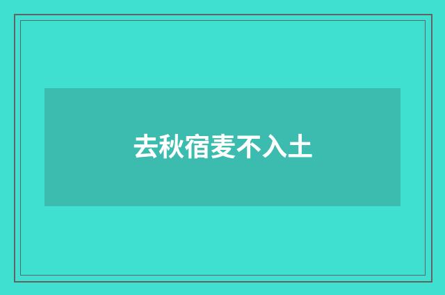 去秋宿麦不入土