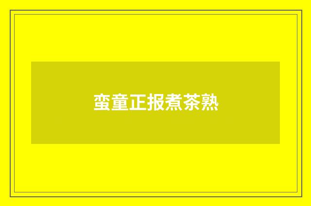 蛮童正报煮茶熟