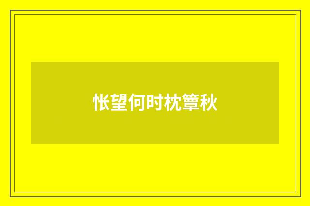 怅望何时枕簟秋