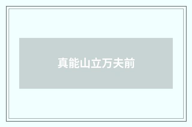 真能山立万夫前