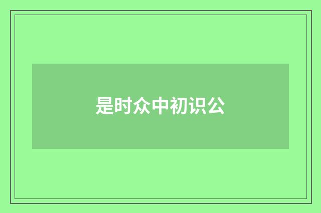 是时众中初识公