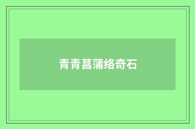 青青菖蒲络奇石