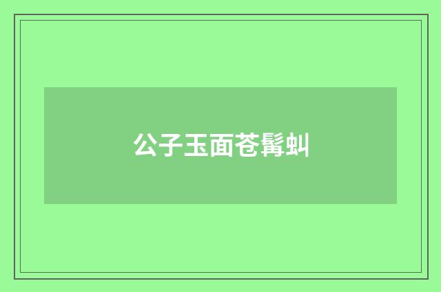 公子玉面苍髯虯