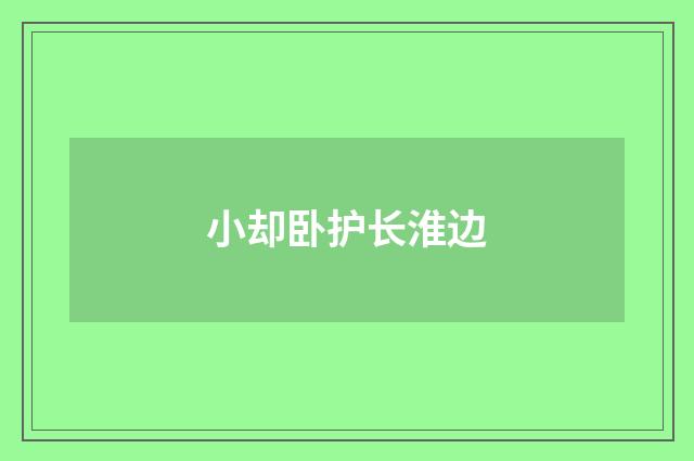小却卧护长淮边