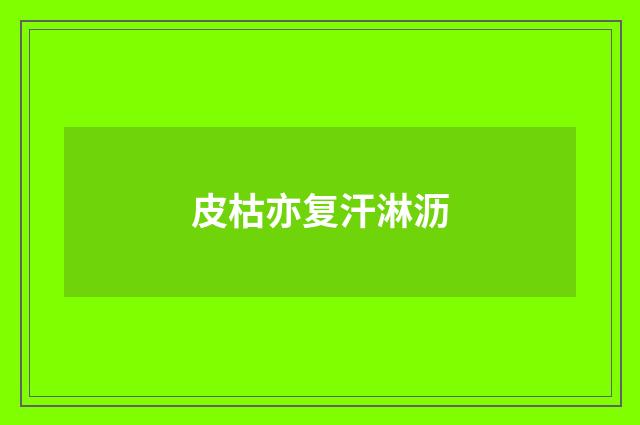 皮枯亦复汗淋沥