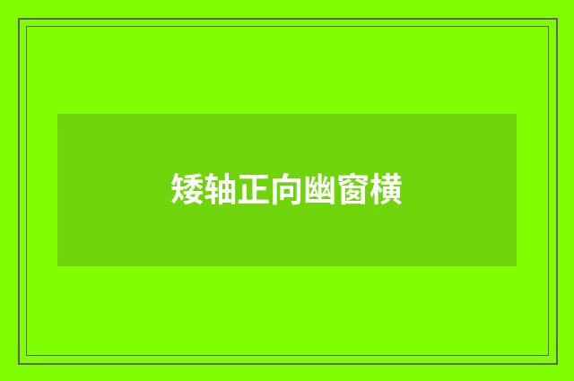 矮轴正向幽窗横