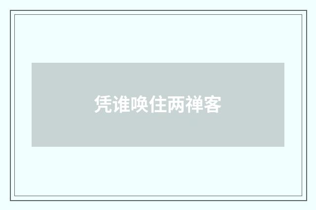 凭谁唤住两禅客