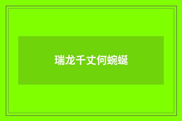 瑞龙千丈何蜿蜒