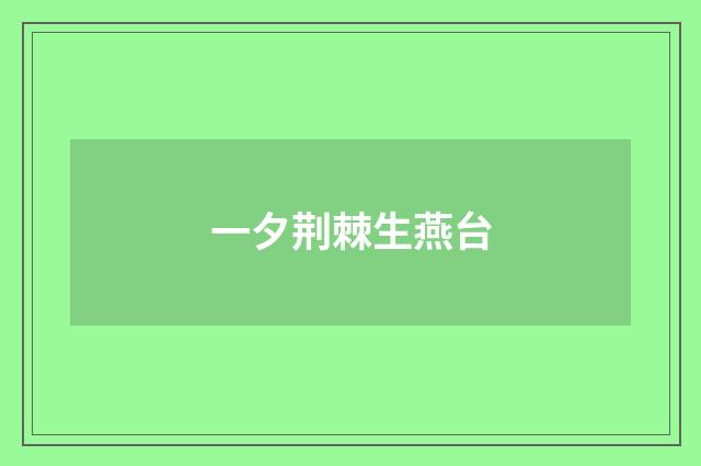 一夕荆棘生燕台