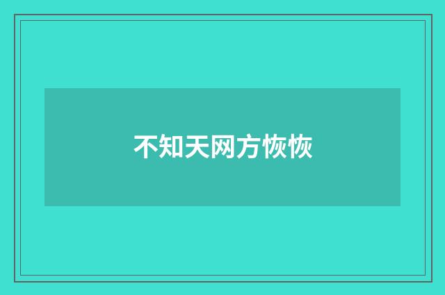 不知天网方恢恢