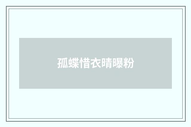 孤蝶惜衣晴曝粉