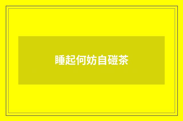 睡起何妨自磑茶