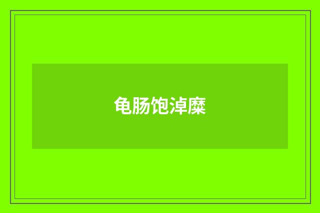 龟肠饱淖糜