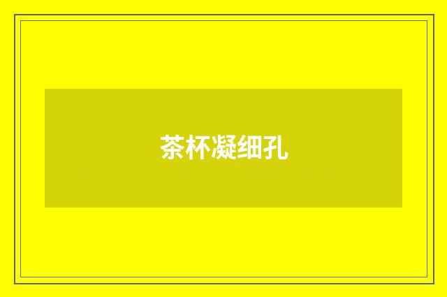 茶杯凝细孔