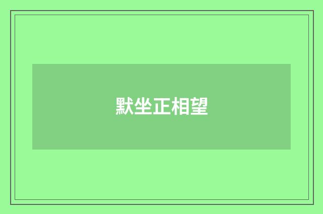 默坐正相望