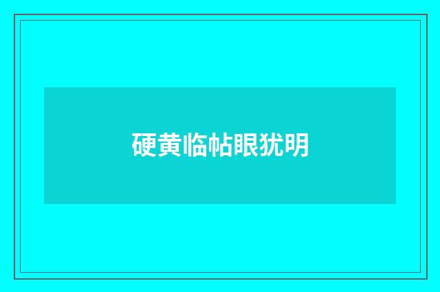 硬黄临帖眼犹明