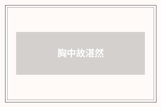 胸中故湛然