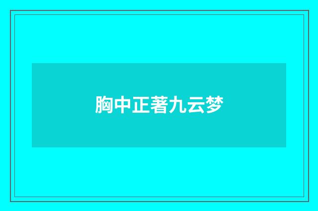 胸中正著九云梦