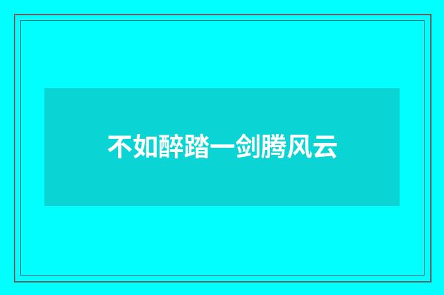 不如醉踏一剑腾风云