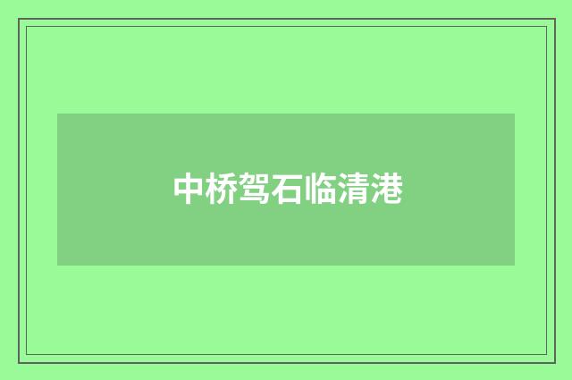 中桥驾石临清港