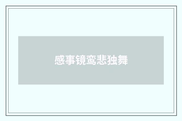 感事镜鸾悲独舞