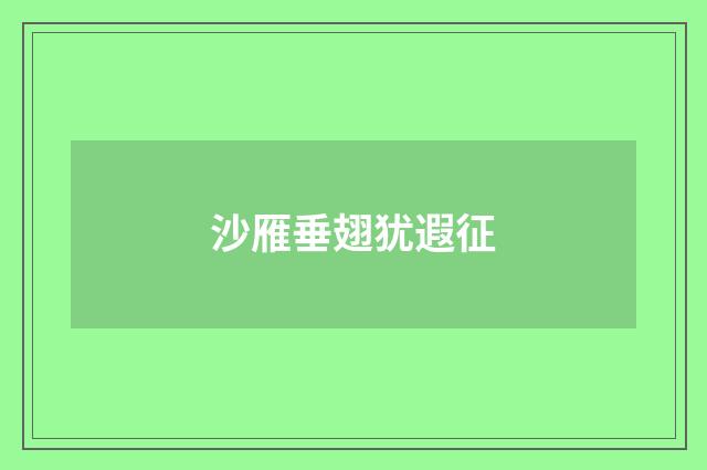沙雁垂翅犹遐征