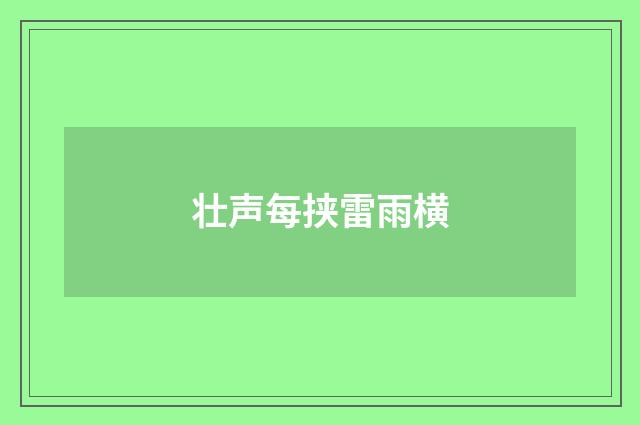 壮声每挟雷雨横