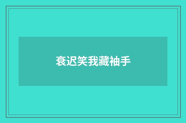 衰迟笑我藏袖手