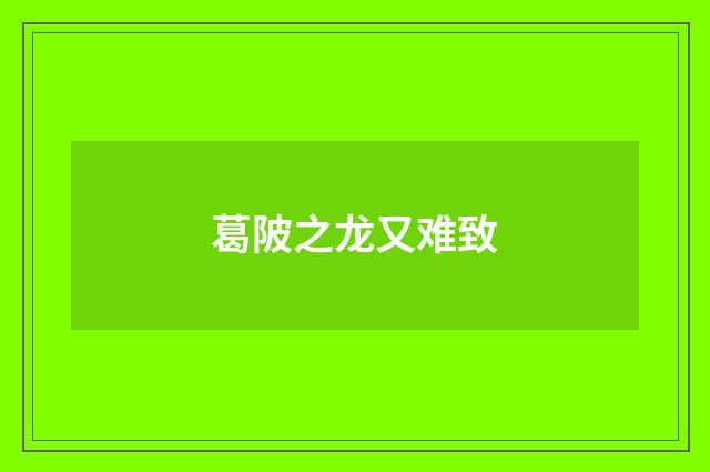 葛陂之龙又难致