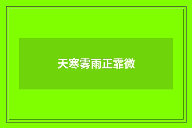 天寒雾雨正霏微