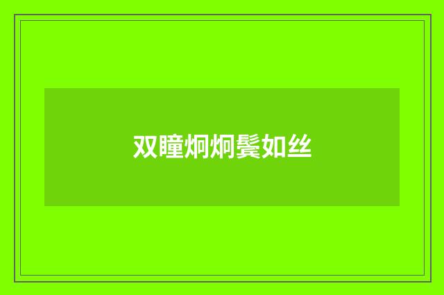 双瞳炯炯鬓如丝
