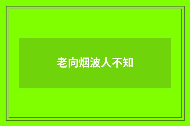 老向烟波人不知