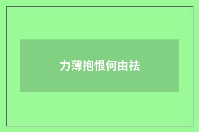 力薄抱恨何由祛
