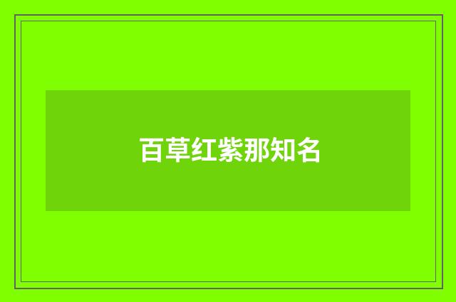 百草红紫那知名