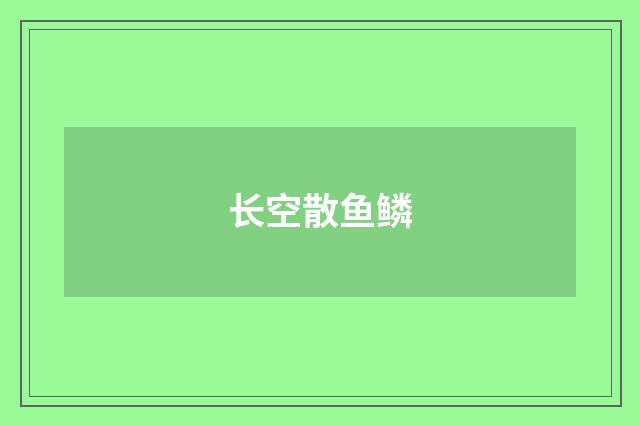长空散鱼鳞