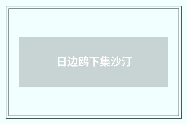 日边鸥下集沙汀
