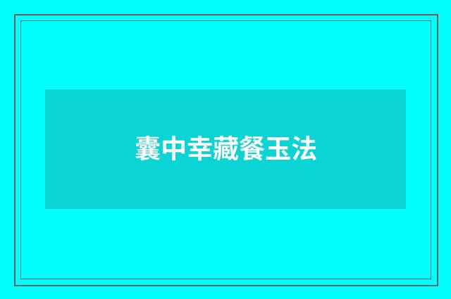 囊中幸藏餐玉法