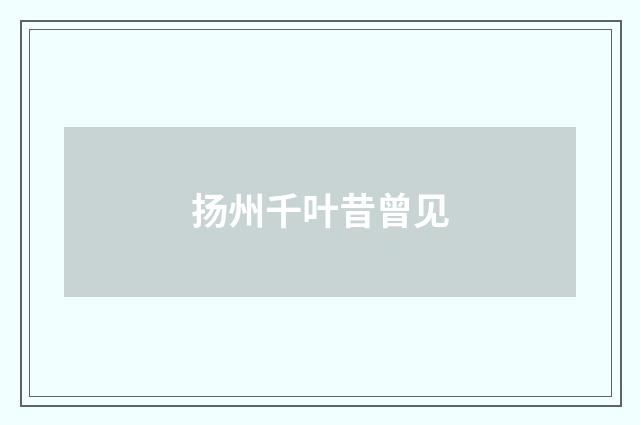 扬州千叶昔曾见
