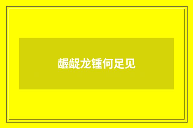 龌龊龙锺何足见
