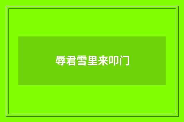 辱君雪里来叩门