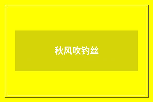 秋风吹钓丝