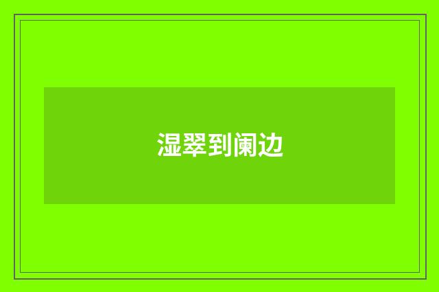 湿翠到阑边