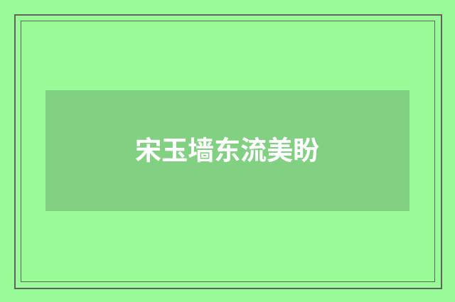宋玉墙东流美盼