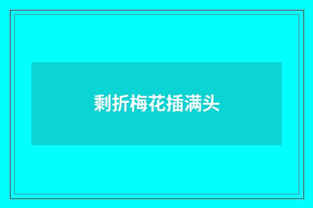剩折梅花插满头