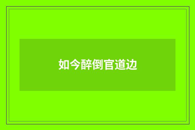 如今醉倒官道边