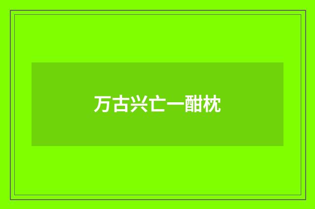 万古兴亡一酣枕
